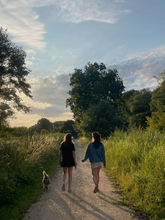 Palmerston North: October Sunset Stroll