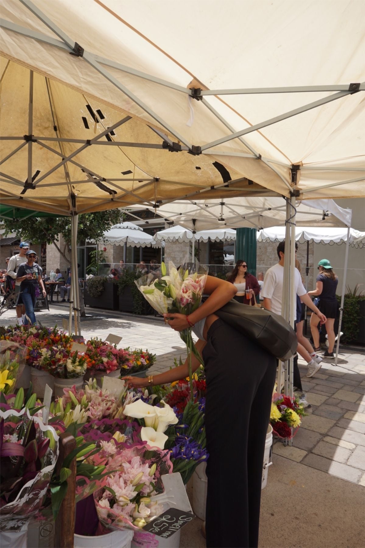 Auckland: June Slow Sunday Farmers Market