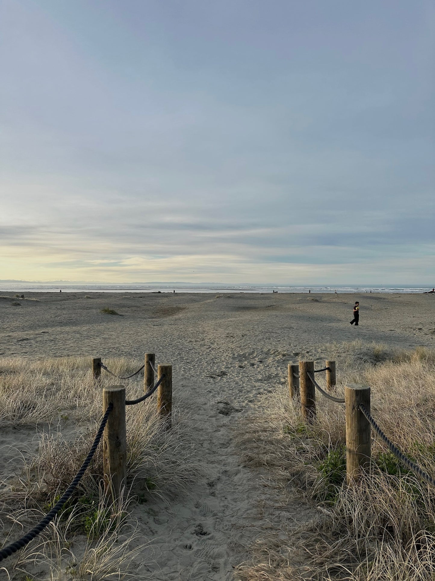 Auckland: January Dear Future Sunrise Swim & Journalling (North)