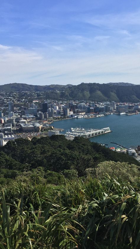 Wellington: April Mount Victoria and Waterfront Walk