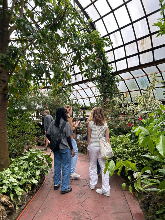 Hamilton: February Taitua Sunday Stroll