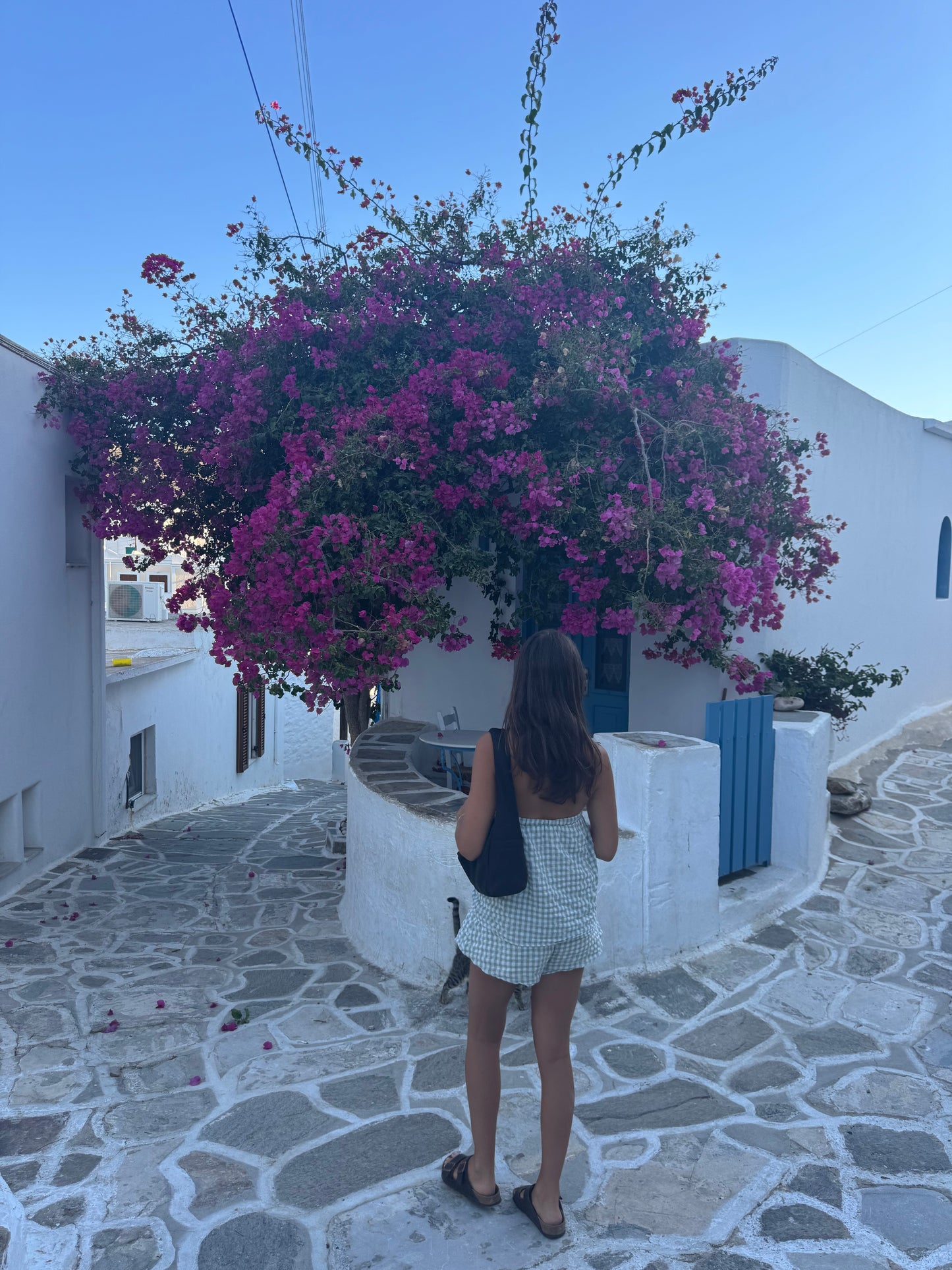 Contiki: Greek Island Hopping August 2026