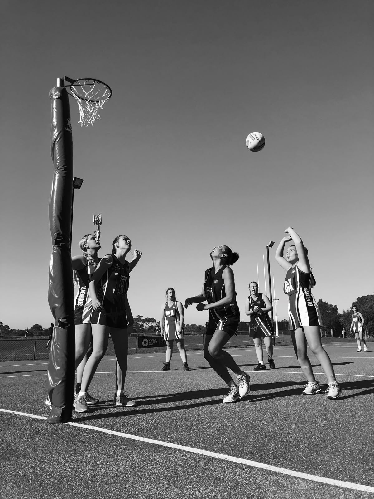 Auckland: July Netball Social Night