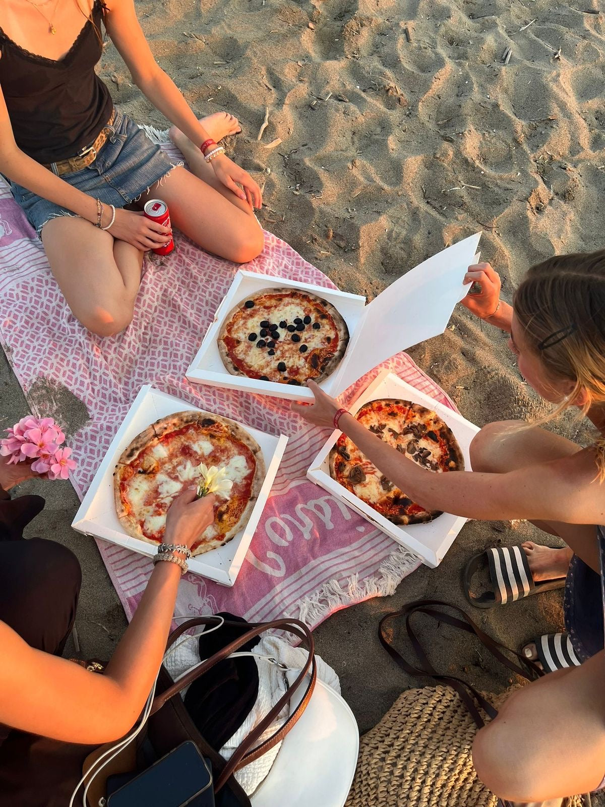 Palmerston North: January Pizza Picnic