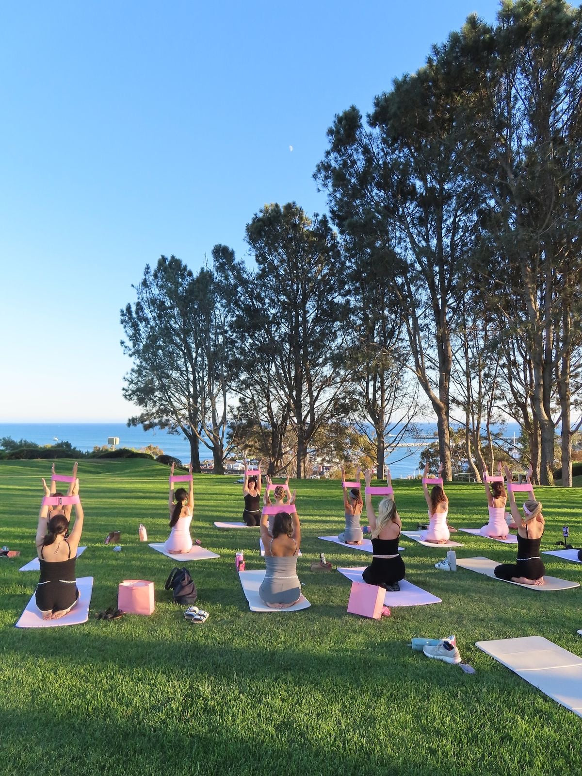 New Plymouth : January Pilates in the Park