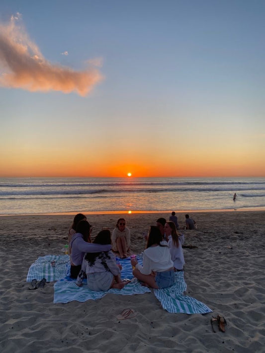 Wellington: January Beach Picnic