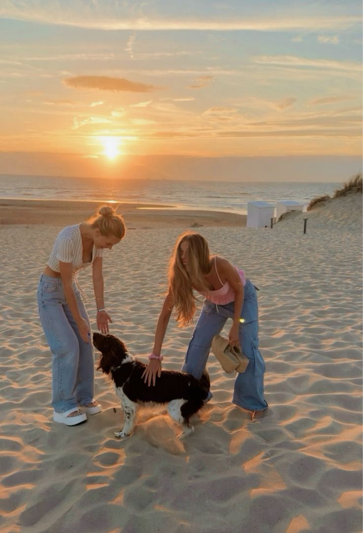 Tauranga: November Sunrise Walk (Dogs Welcome!)