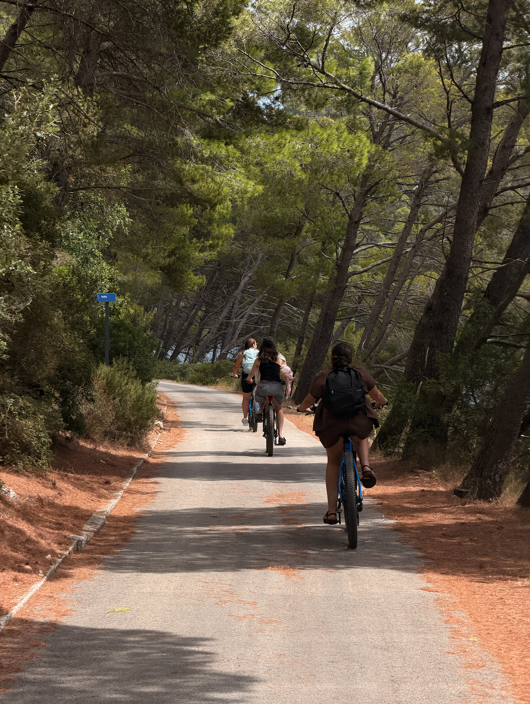 A group of women riding bicycles along a scenic, pine-fringed path next to the saltwater lakes of Mljet National Park in Croatia, highlighting active group travel and outdoor adventure.
