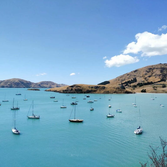 Christchurch: March Lunch in Diamond Harbour