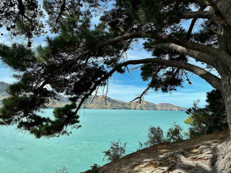 Christchurch: March Lunch in Diamond Harbour