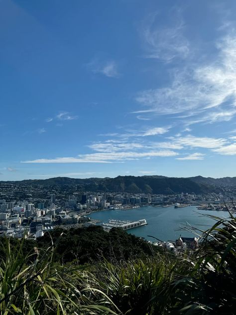 Wellington: April Mount Victoria and Waterfront Walk