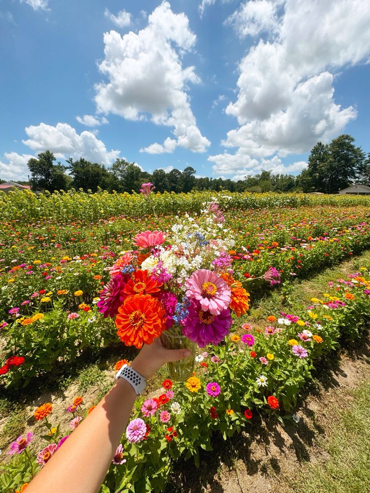 Hamilton: April Flower Picking and Bouquet Making