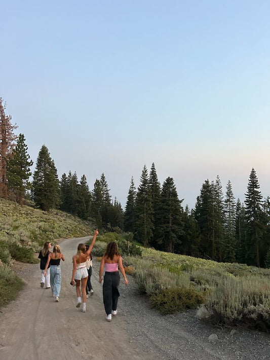 Auckland: November Sunday Stroll